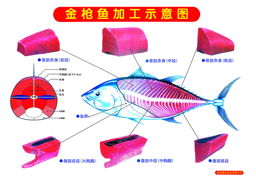 金枪鱼加工示意图